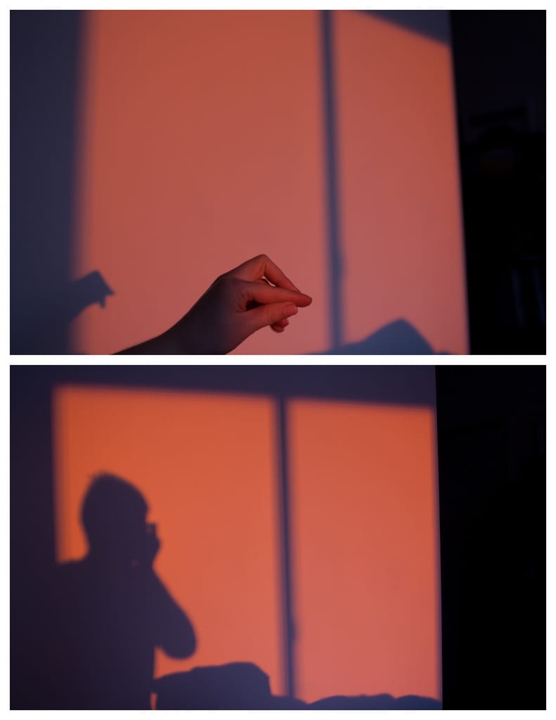 Photo of the Day - Shadow Duo First attempt at a “diptych”. Would have loved for it to have a bit more of a landscape dimension, but I don’t take too many vertical photos.