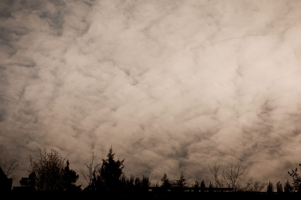 Photo of the Day - Sky and Rooftops