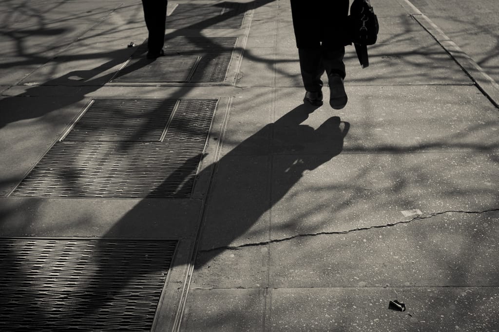 Photo of the Day - Shadow Life