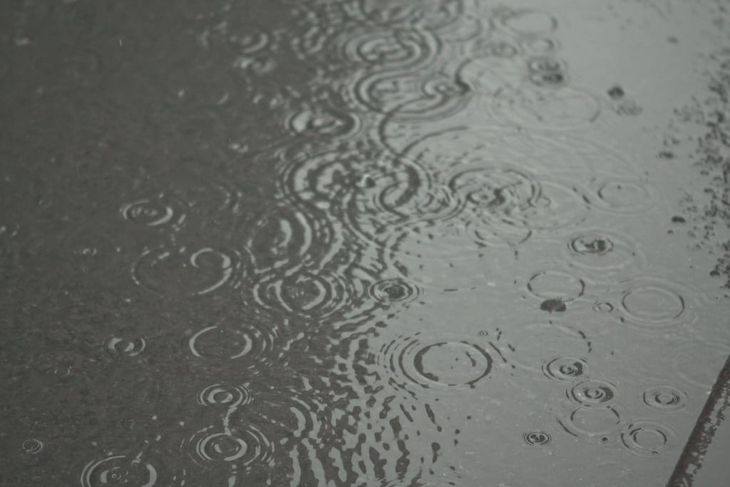 Photo of the Day - Frozen Raindrops