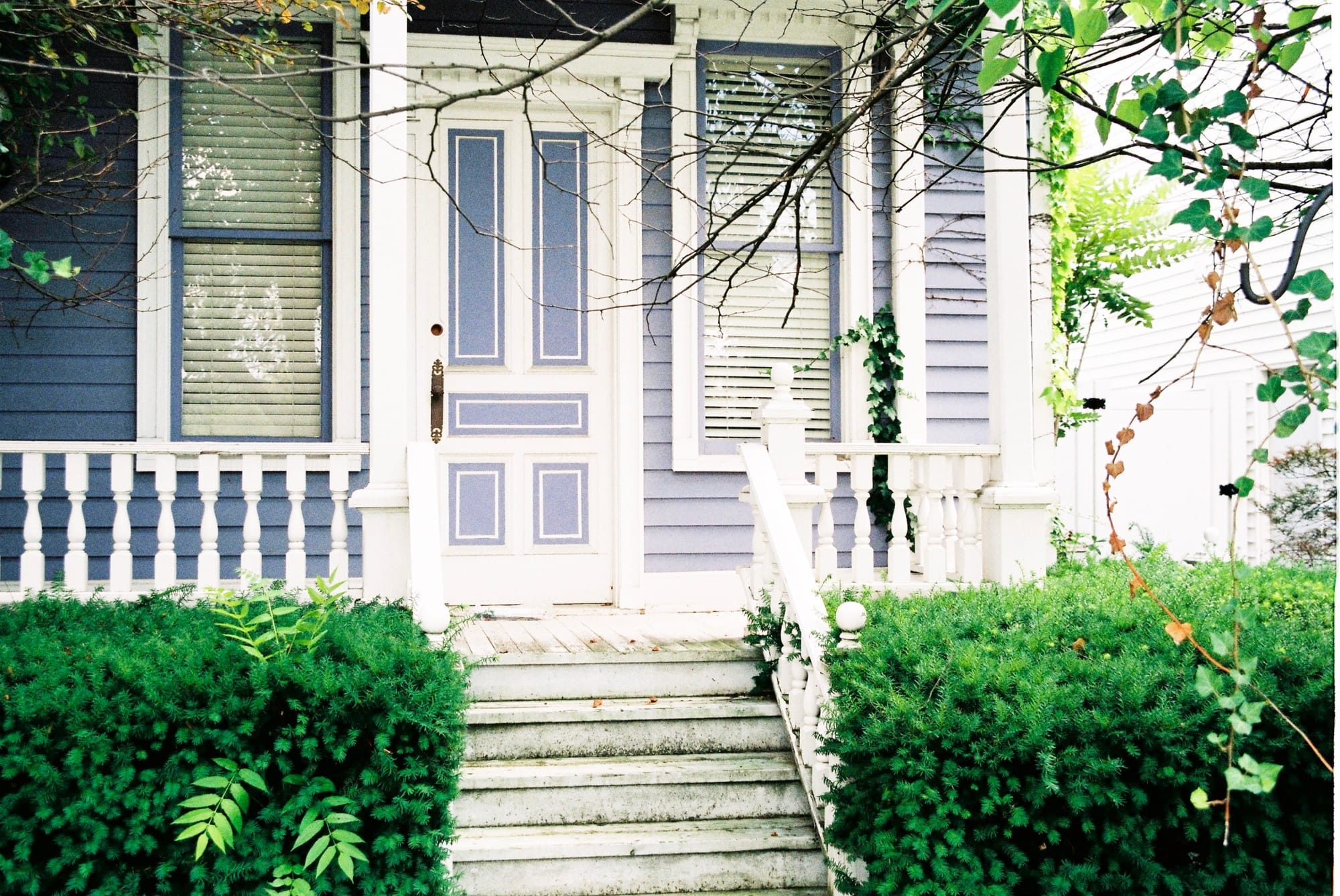 Summer view around a residential backyard and home in Detroit, Michigan.