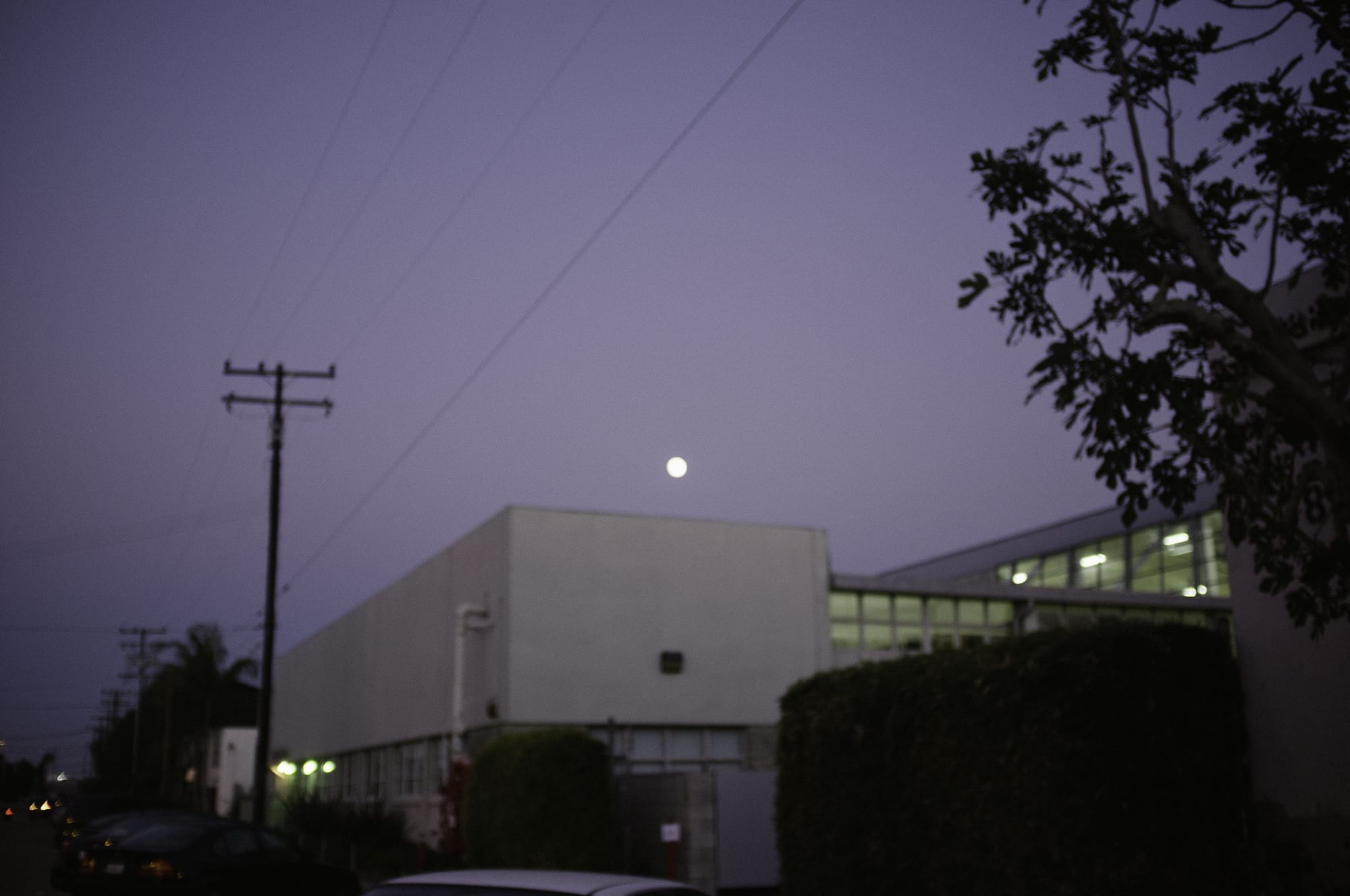 Full moon hanging low in the dusk sky above a modern building and telephone poles.