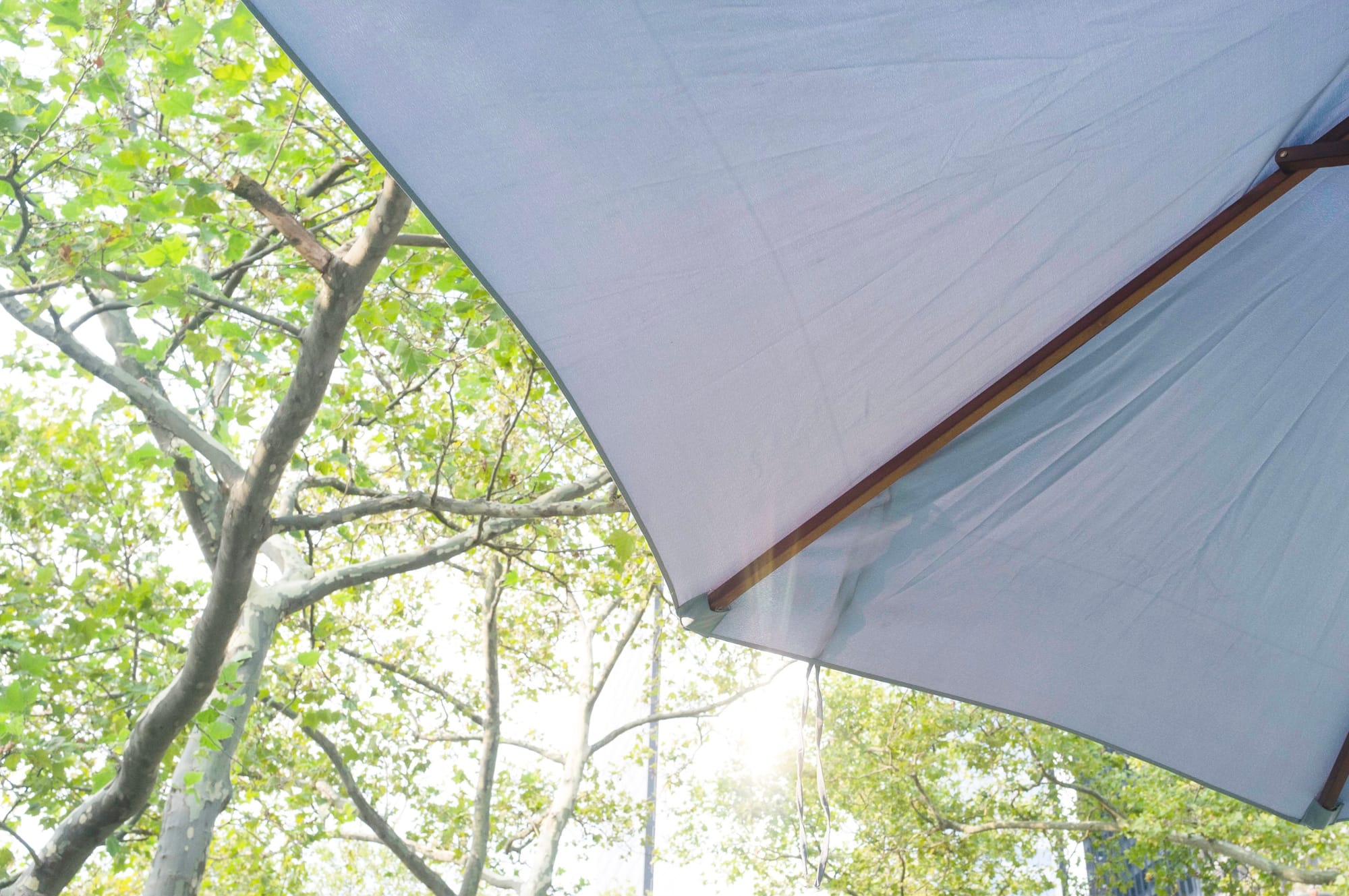 Low-angle view looking up past a patio umbrella at lush green tree canopies above Battery Park Beer Garden.