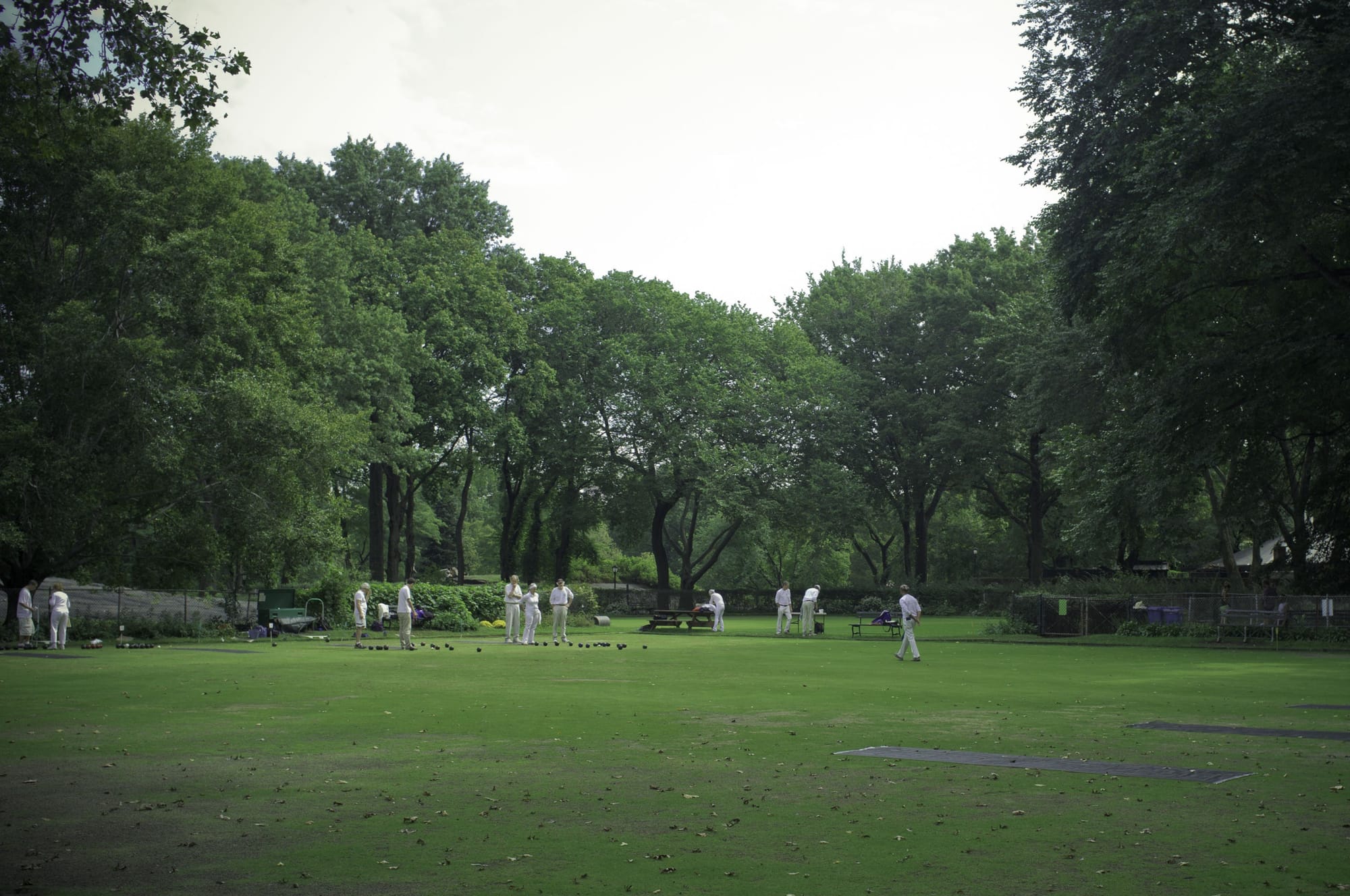 Cricket match in progress with players in white uniforms on a wide green park lawn in New York.
