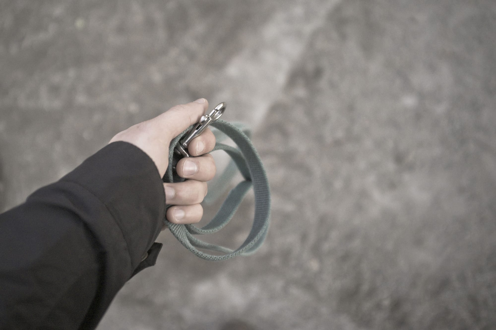 First-person perspective holding a looped grey dog leash ready for the dog park.