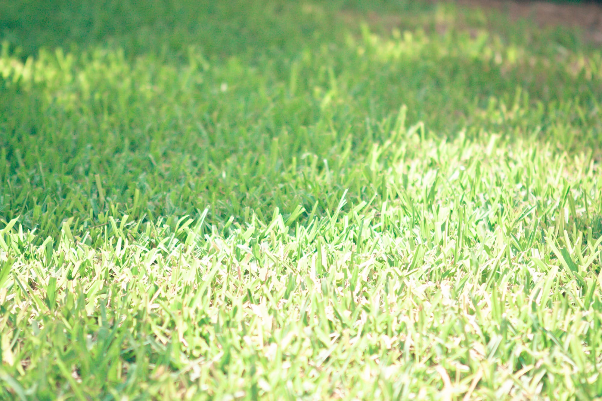 Sunny Florida vacation photograph in Naples documenting outdoor recreation and bright tropical light.