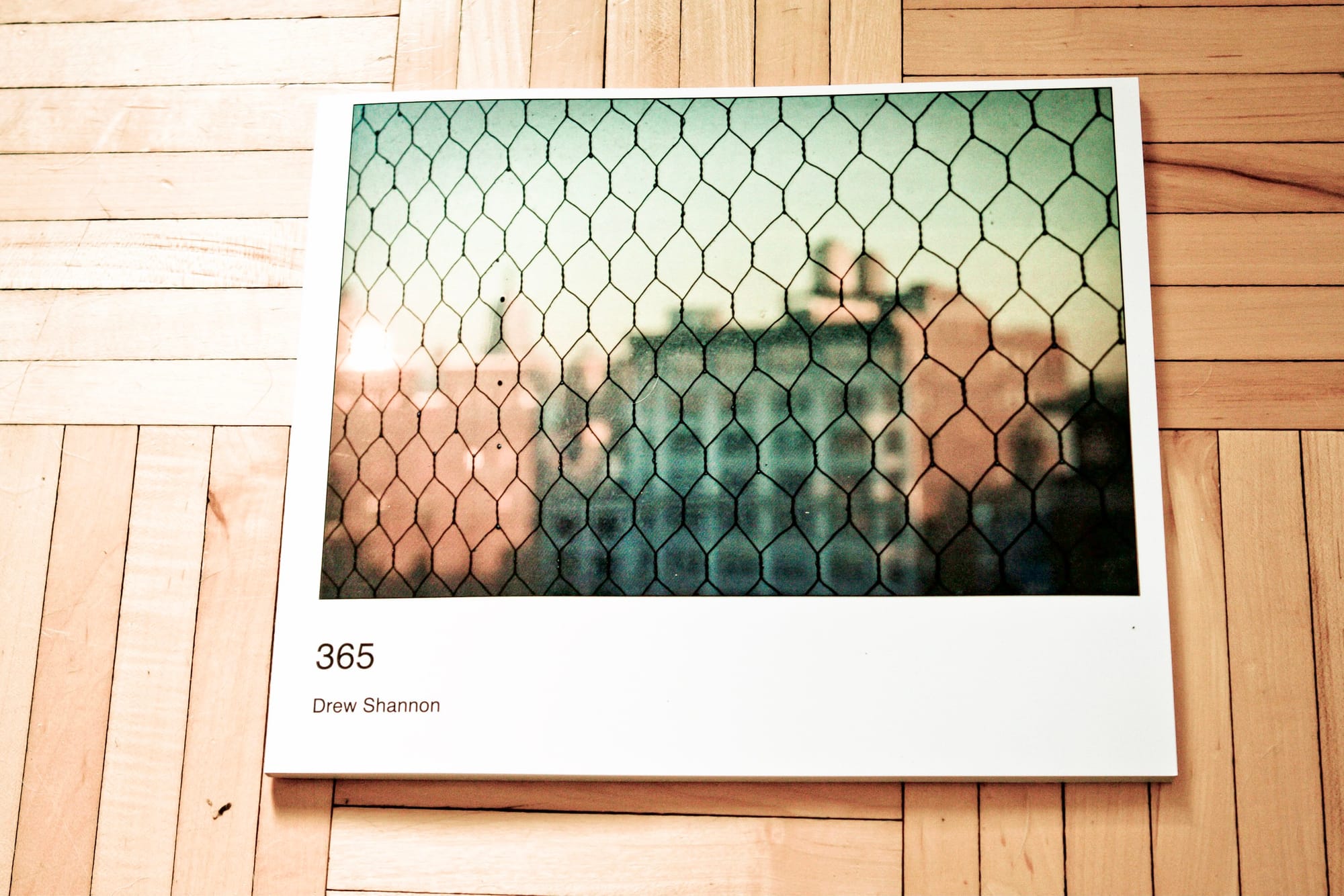 Printed copies of Drew Shannon's 365 Project book published via Blurb, showing the cover design.