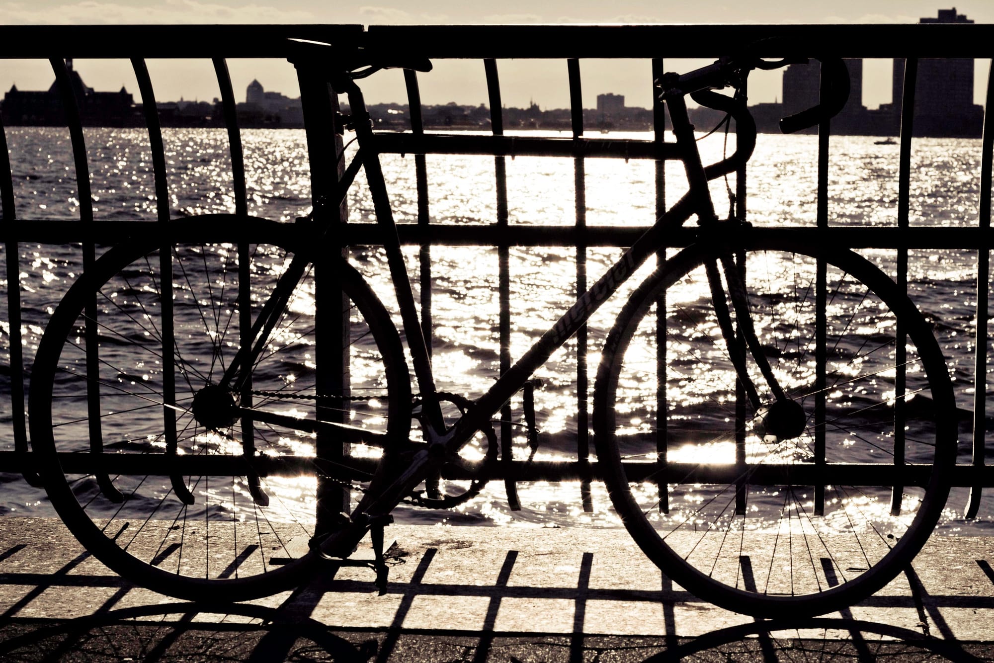 Bicycle parked along waterfront railing overlooking New York Harbor.