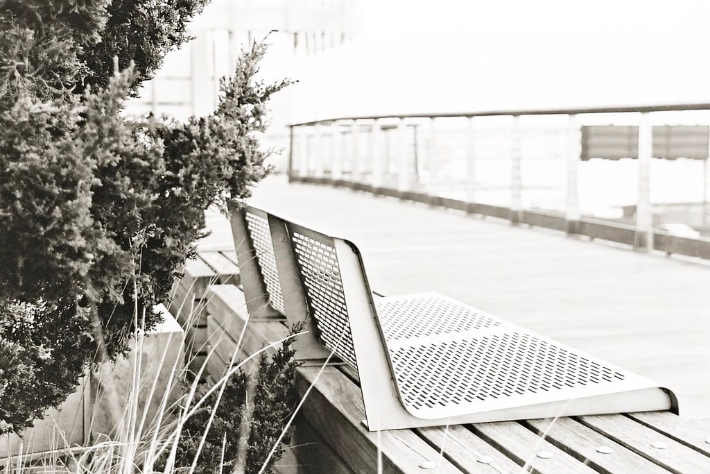 Photo of the Day - The Elevated Acre