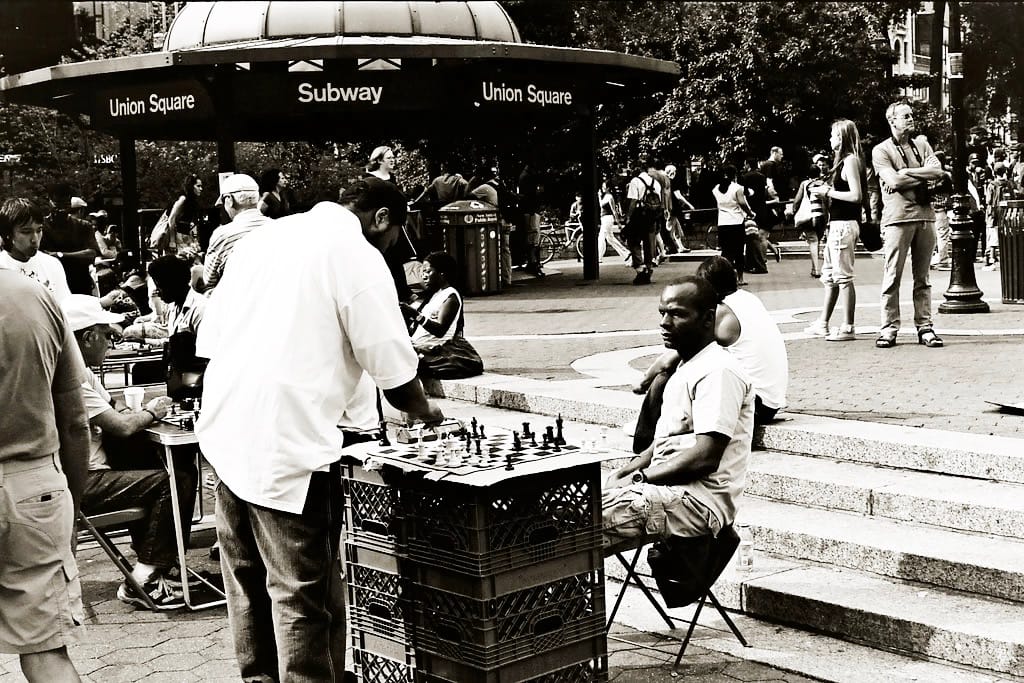 Photo of the Day - Checkmate