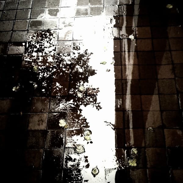 Photo of the Day - Puddle Jumping
