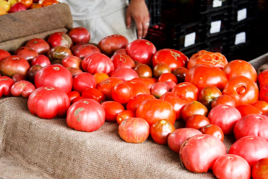 Photo of the Day - Union Square Greenmarket Tomatoes