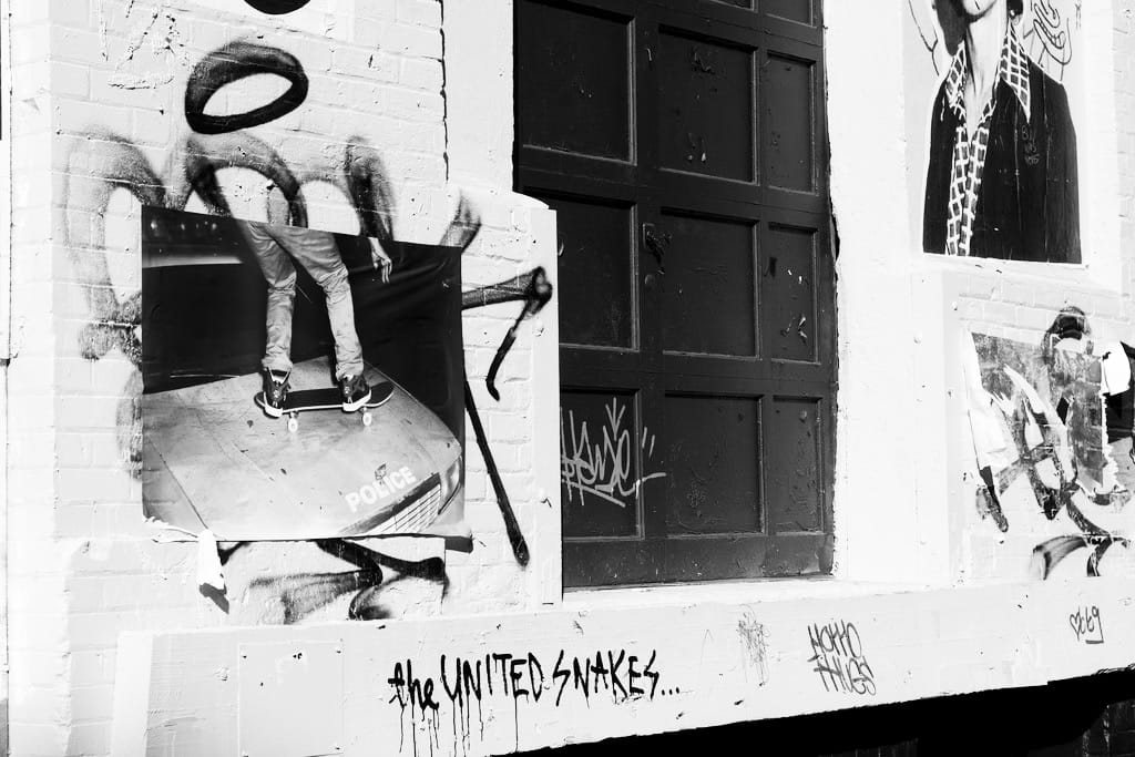 Photo of the Day - The United Snakes