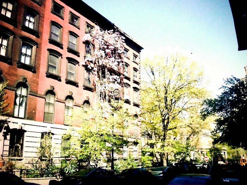 Photo of the Day - Plants Taking Over