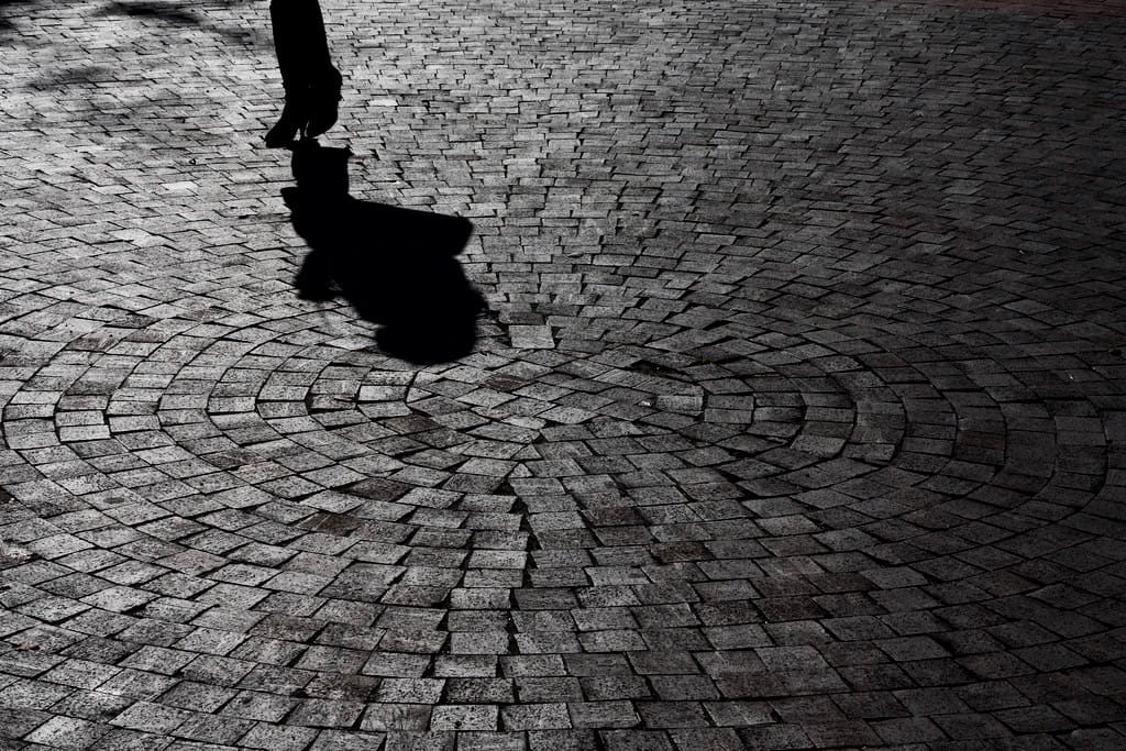 Photo of the Day - Bricks