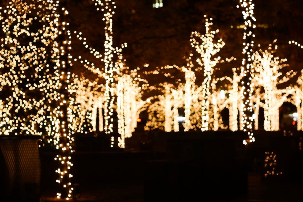 Photo of the Day - Christmas Lights in November