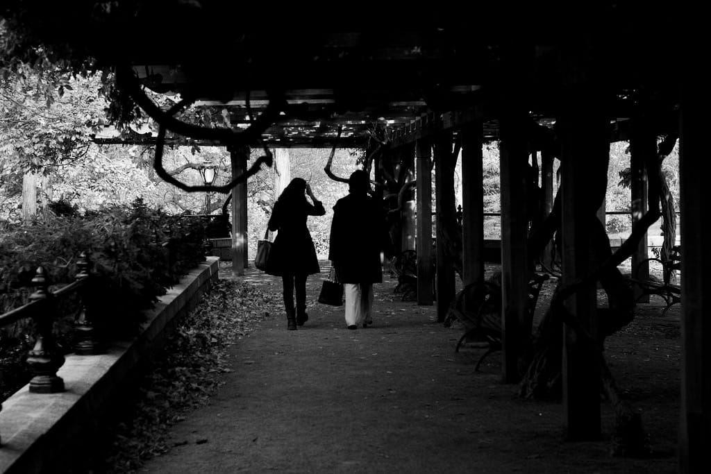 Photo of the Day - Walking Through The Park