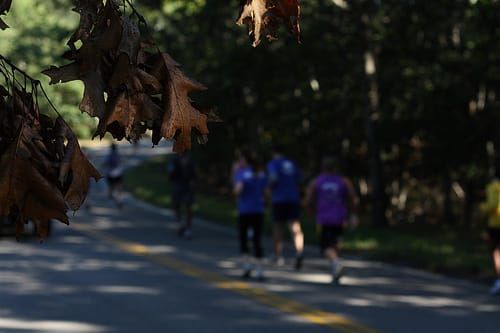 Photo of the Day - Runner’s High