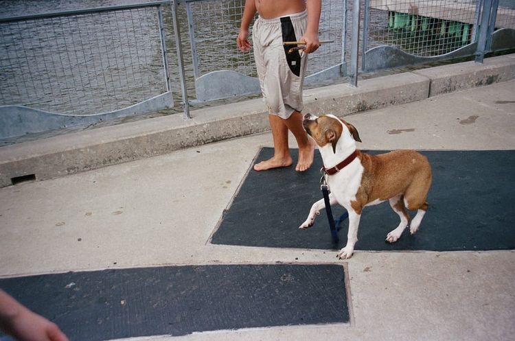 Minolta Maxxum 5 | Kodak Portra 400