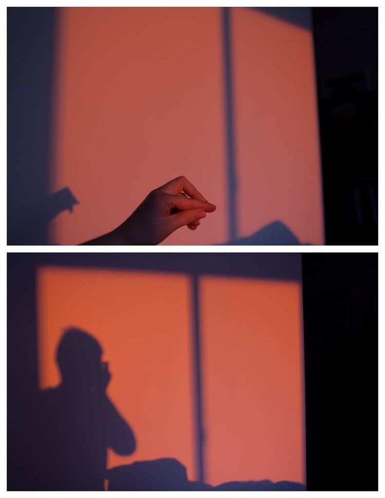 Photo of the Day - Shadow Duo First attempt at a “diptych”. Would have loved for it to have a bit more of a landscape dimension, but I don’t take too many vertical photos.
