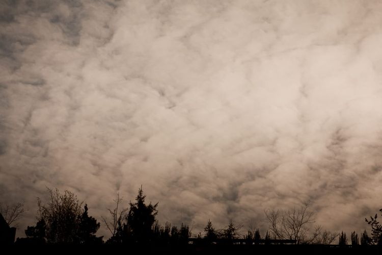 Photo of the Day - Sky and Rooftops