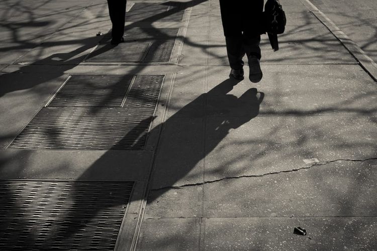 Photo of the Day - Shadow Life