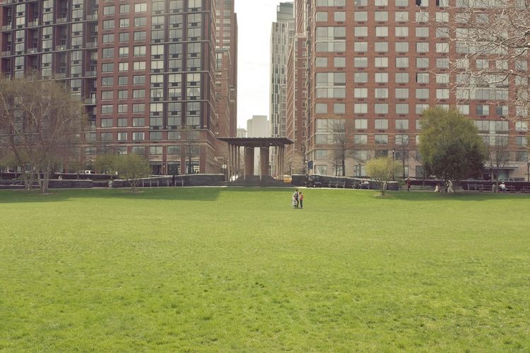 Photo of the Day - Alone in a Field