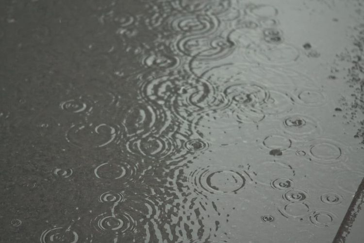 Photo of the Day - Frozen Raindrops