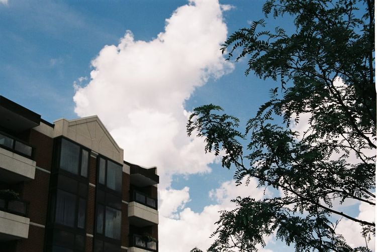 Minolta Maxxum 5 | Expired Fujifilm 200