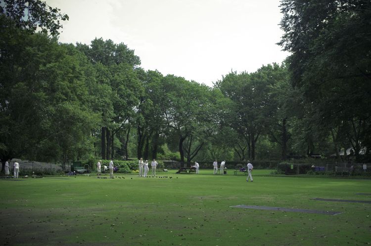 Cricket match in progress with players in white uniforms on a wide green park lawn in New York.