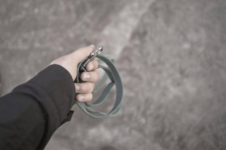 First-person perspective holding a looped grey dog leash ready for the dog park.