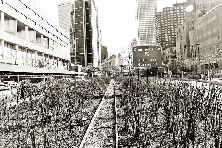 Photo of the Day - West Side Highway