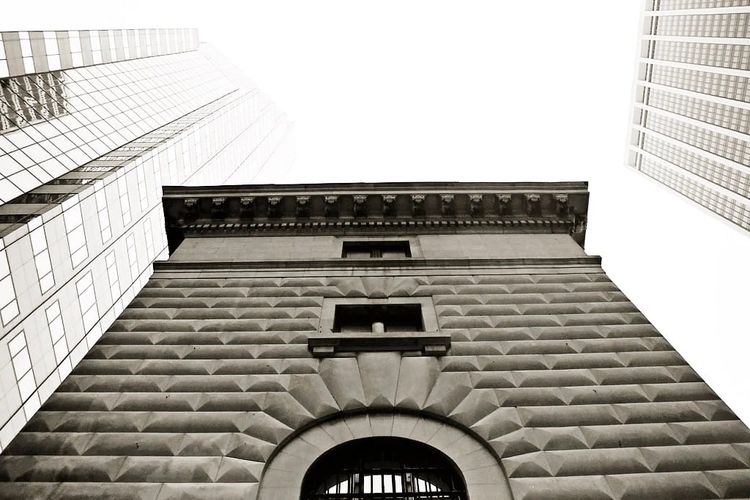 Photo of the Day - Straight Up