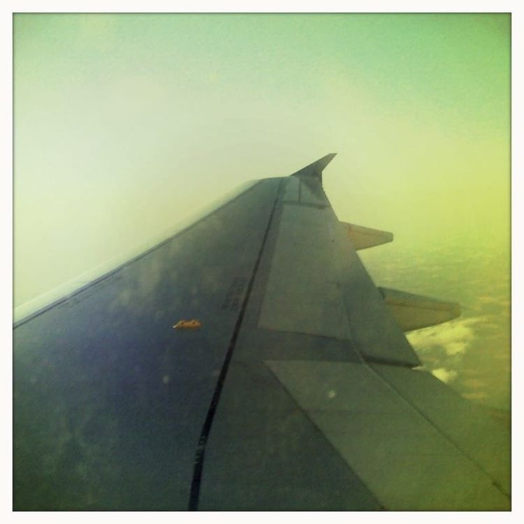 Photo of the Day - Airplane Wing