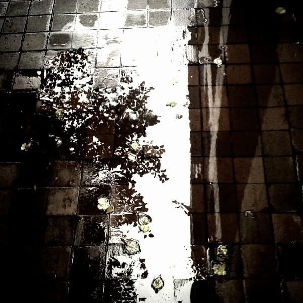 Photo of the Day - Puddle Jumping