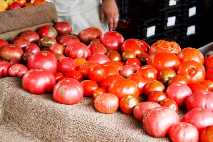 Photo of the Day - Union Square Greenmarket Tomatoes