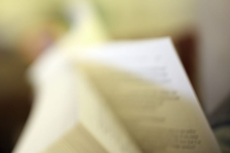 Photo of the Day - Reading