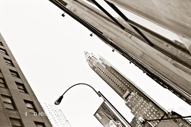 Photo of the Day - 5