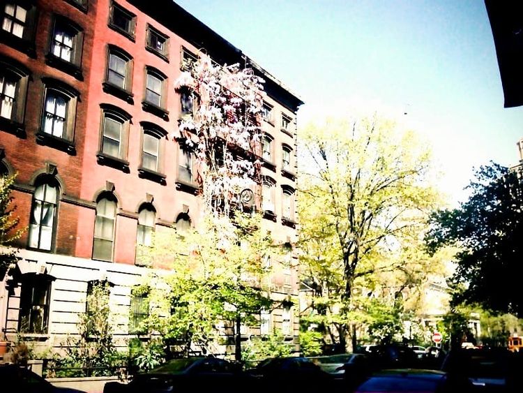 Photo of the Day - Plants Taking Over