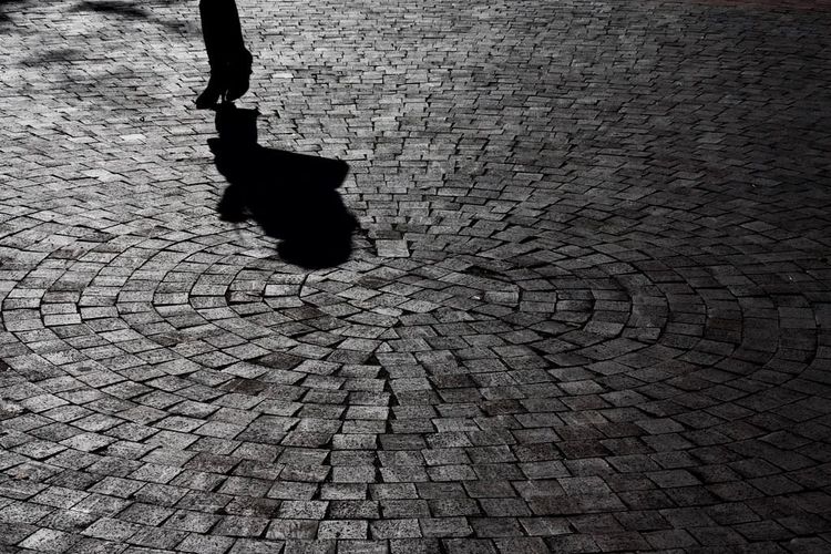 Photo of the Day - Bricks