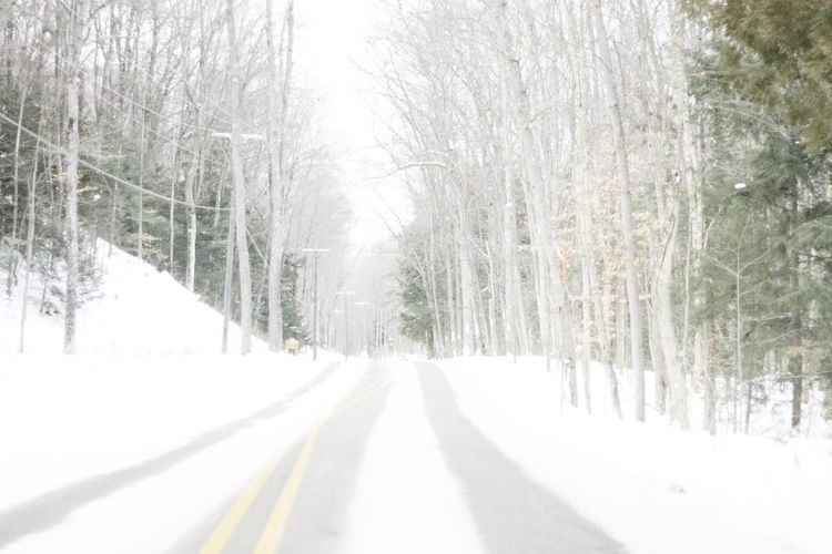 Photo of the Day - Snowy Michigan Road