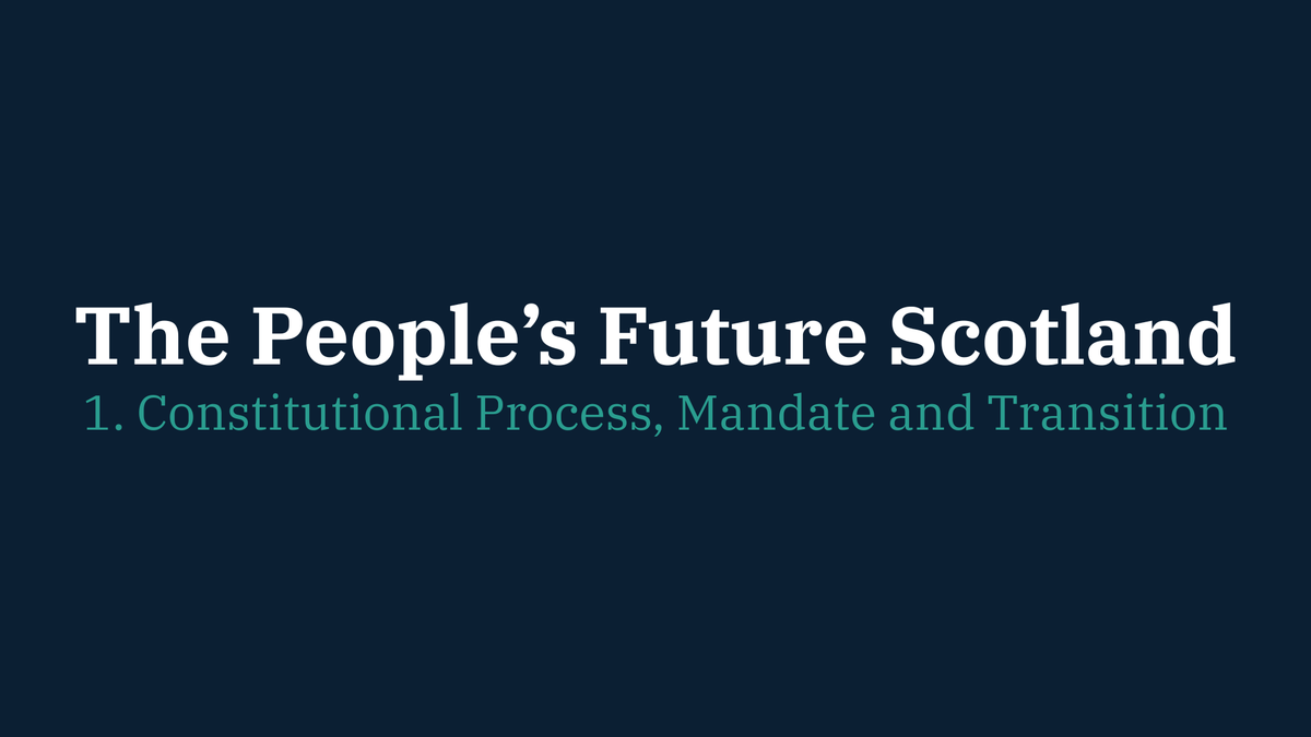 1. Constitutional Process, Mandate and Transition