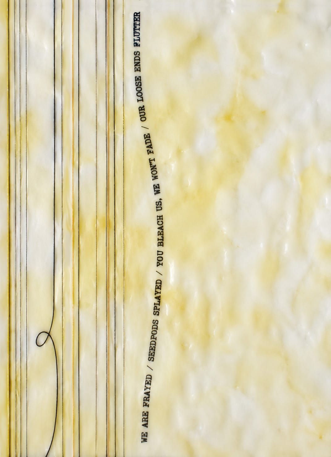 CTA Image
