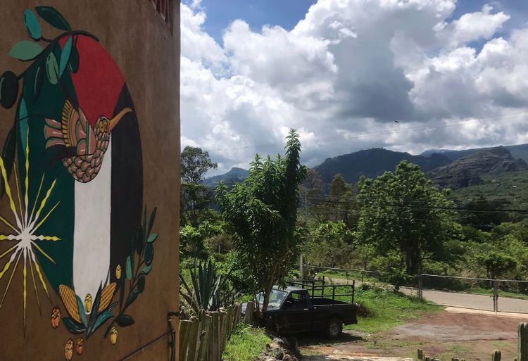 Milpa: A Solstice Dispatch