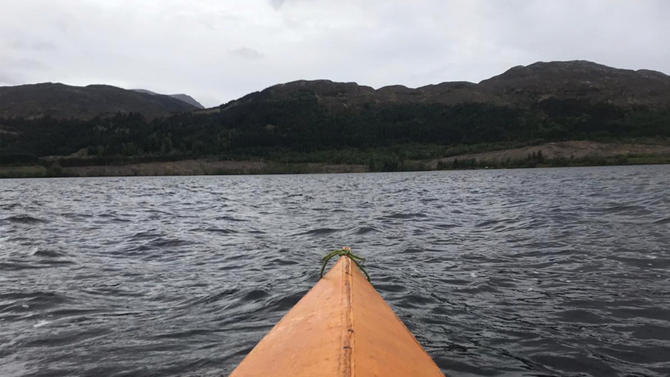 Bobbing Through The Mountains, Chewing Birch Leaves