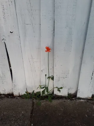 Be gentle and make effort