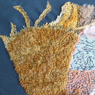 Stitching the zodiac