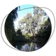Fluid Thinking
