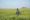 Assyrian groups reject land distribution plan in Tel Keppe