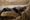 Assyrian stele unearthed at Nineveh's Shamash gate
